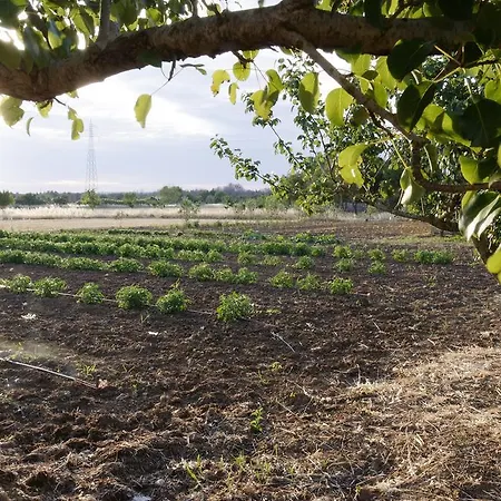 Agrimat Salento Sas *