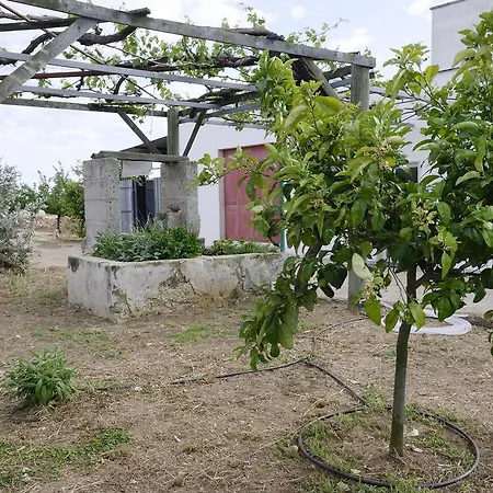 Agrimat Salento Alezio