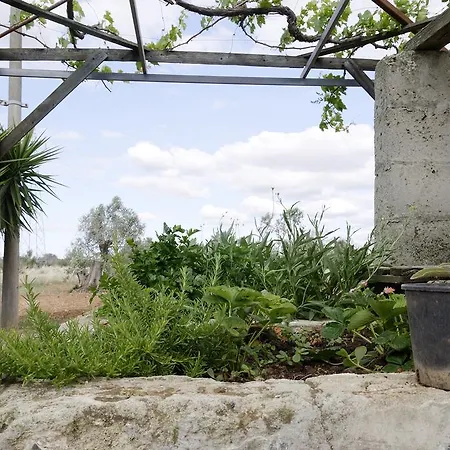 Agrimat Salento Sas Vakantieboerderij