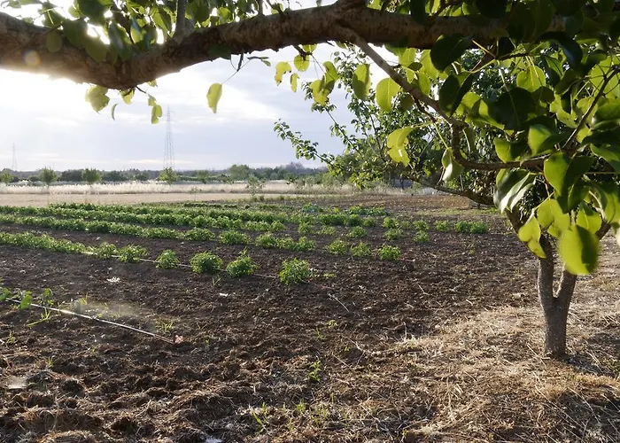 Agrimat Salento Sas *