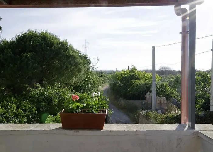 Agrimat Salento Sas * Алецио