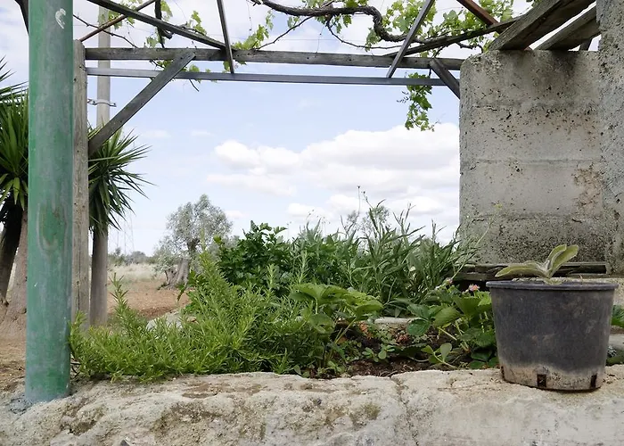 Agrimat Salento Sas Feriegård